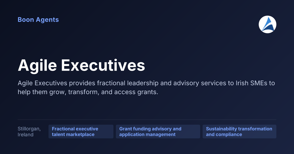 Agile Executives — company overview
