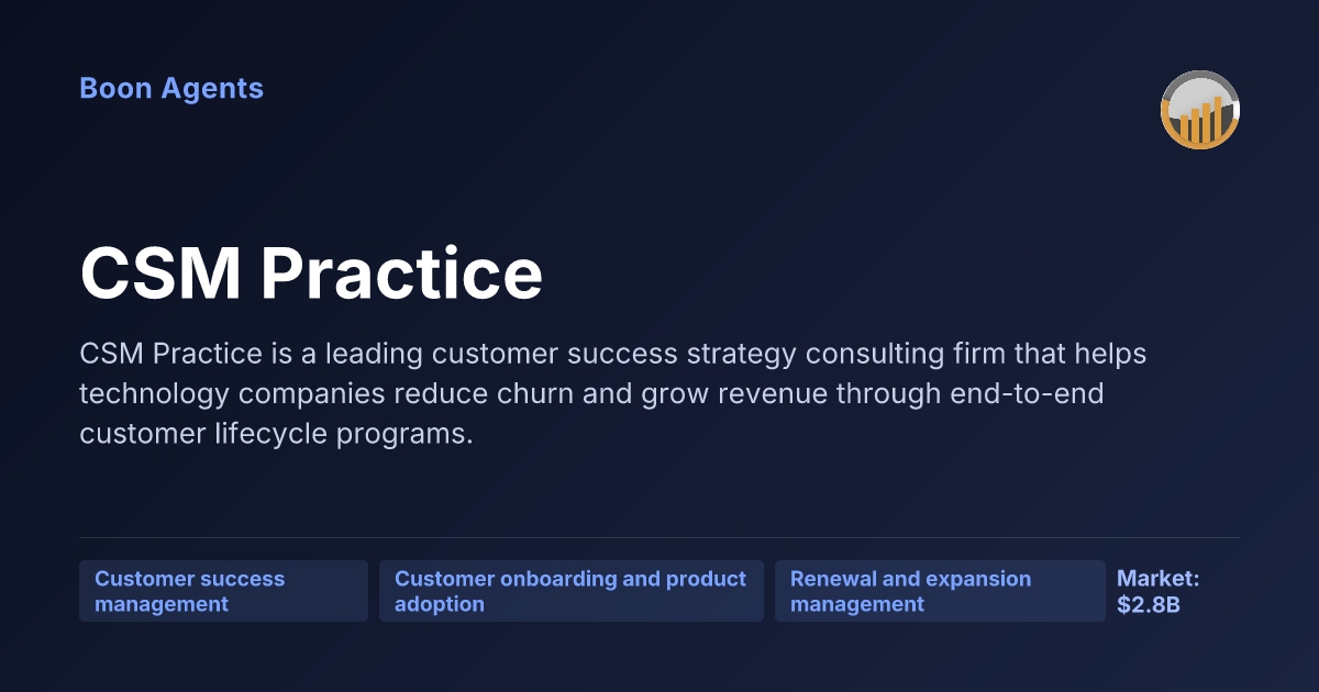CSM Practice — company overview
