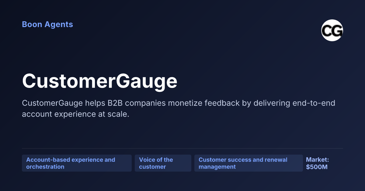 CustomerGauge — company overview