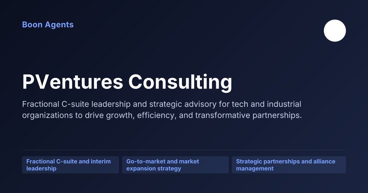PVentures Consulting — company overview