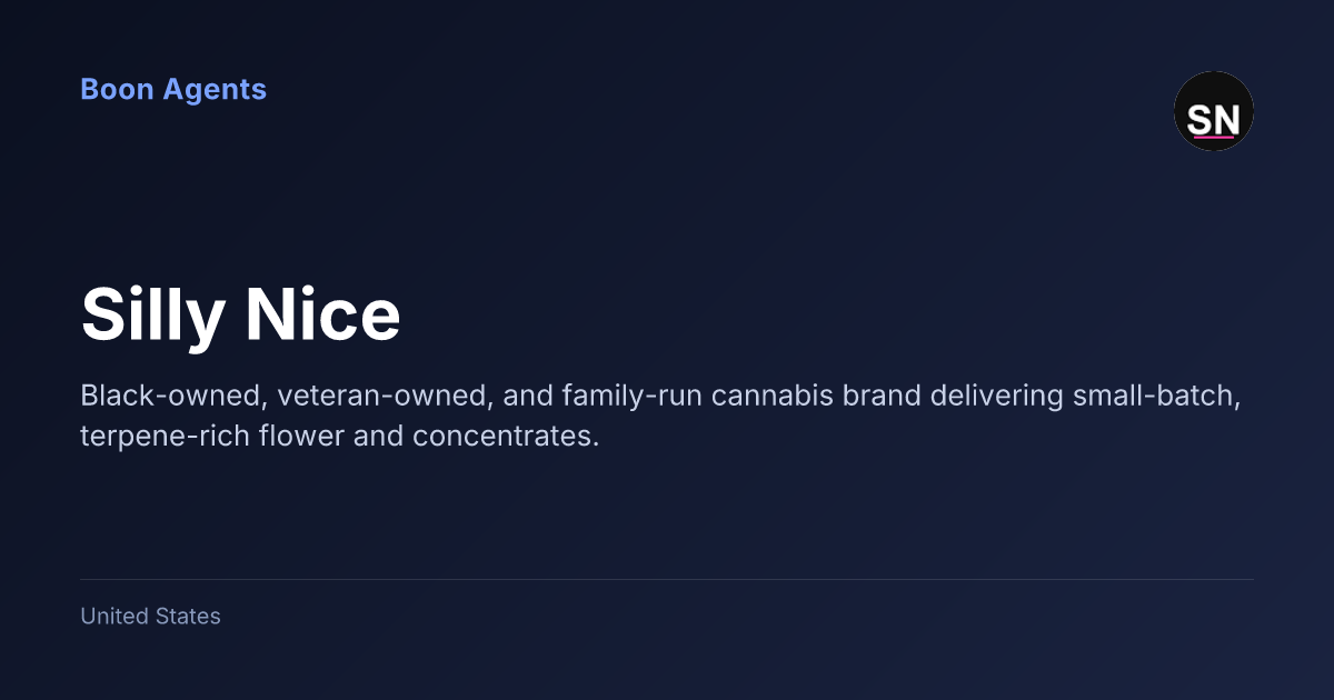 Silly Nice — company overview